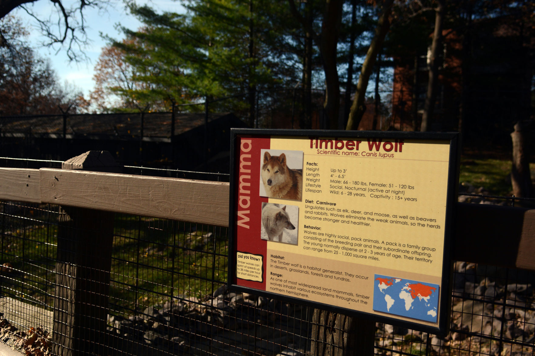 Scenes from Baraboo's Ochsner Park Zoo, Nov. 7, 2020